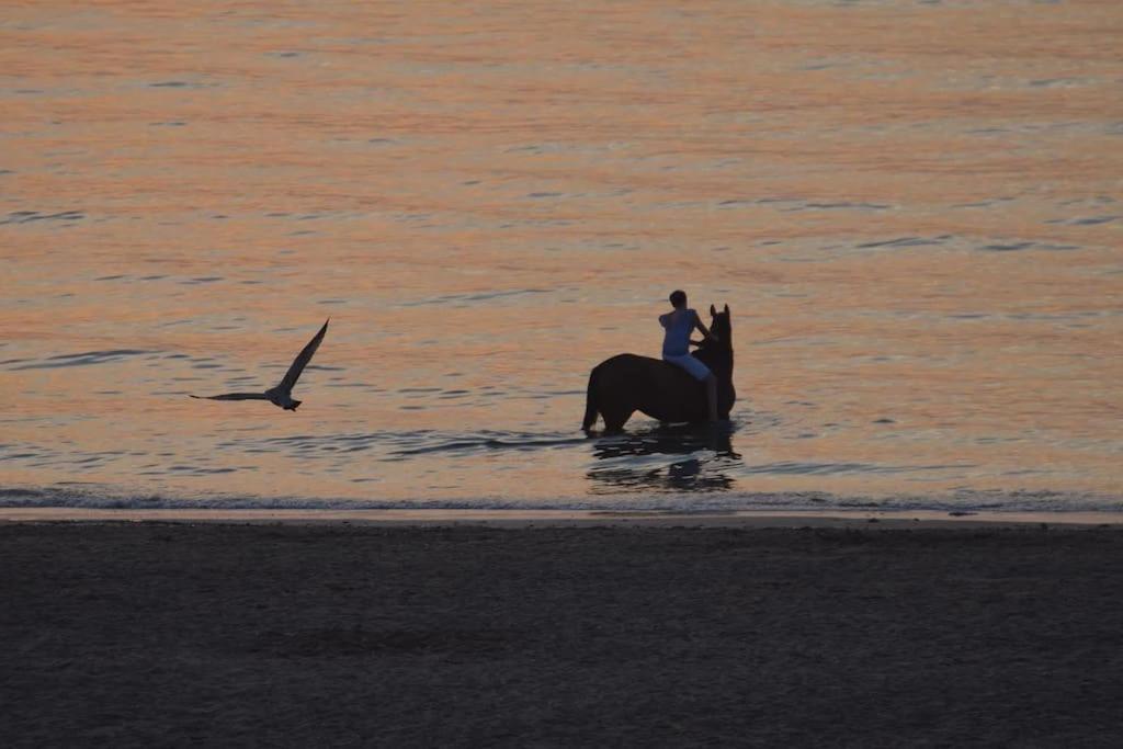 Seaside Serenity Yourhosthelper * Trouville-sur-Mer